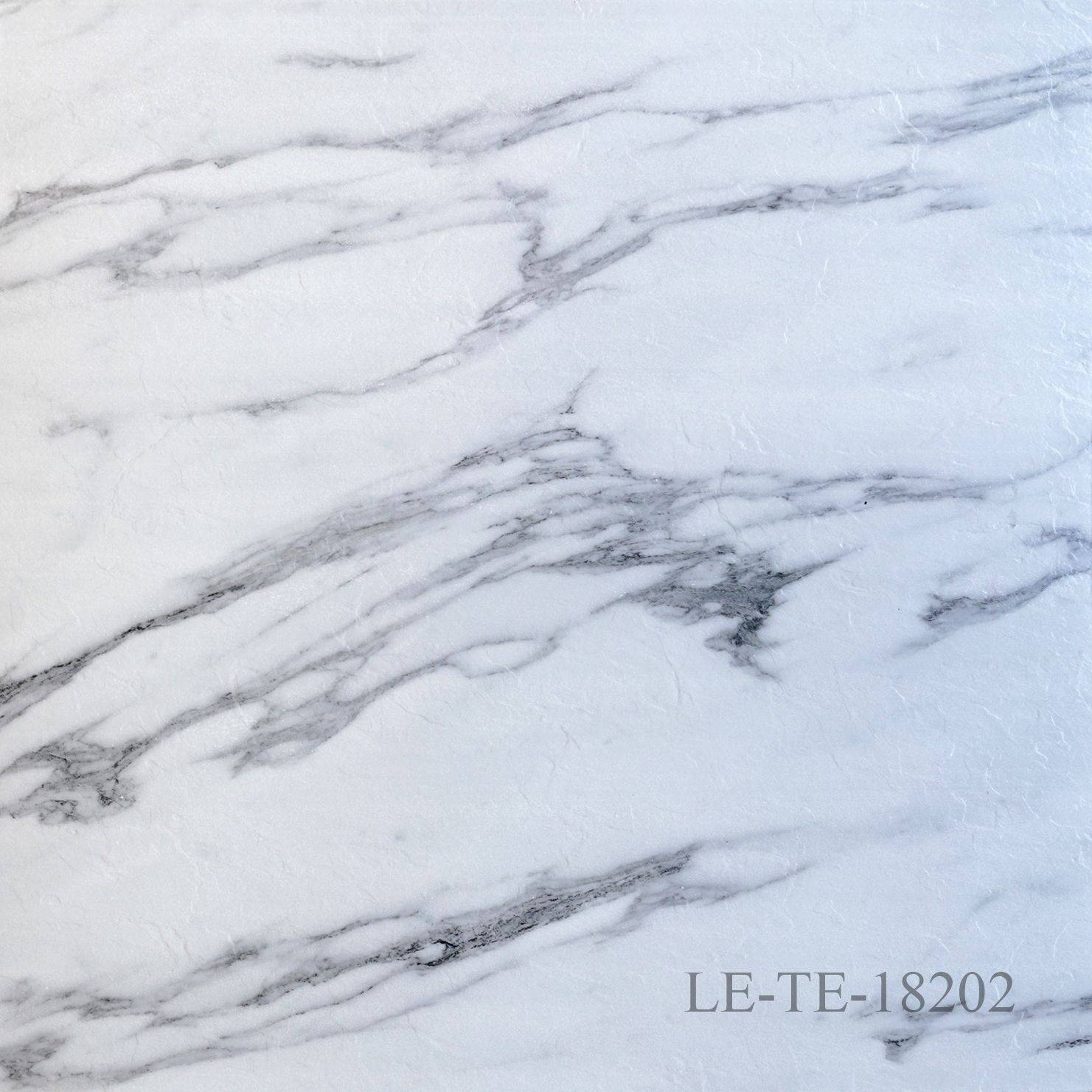 LE-TE-18202